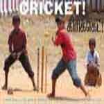Cricket!/Cricket!/கிரிக்கெட்!