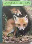 Animals in Action The Living Countryside