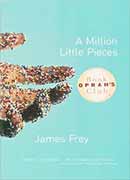 a million little pieces