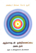 ஆத்மாவுடன் ஒன்றிணைப்பை அடைதல்  (மாஸ்டர் சோவா கோக் சூயி)
