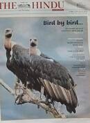 THE HINDU IN SCHOOL on sunday Oct 22