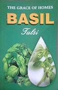 the grace of homes basil Tulsi 